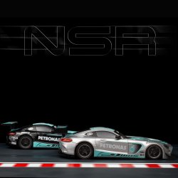 MERCEDES AMG GT3 PETRONAS SILVER SW SHARK 25 EVO