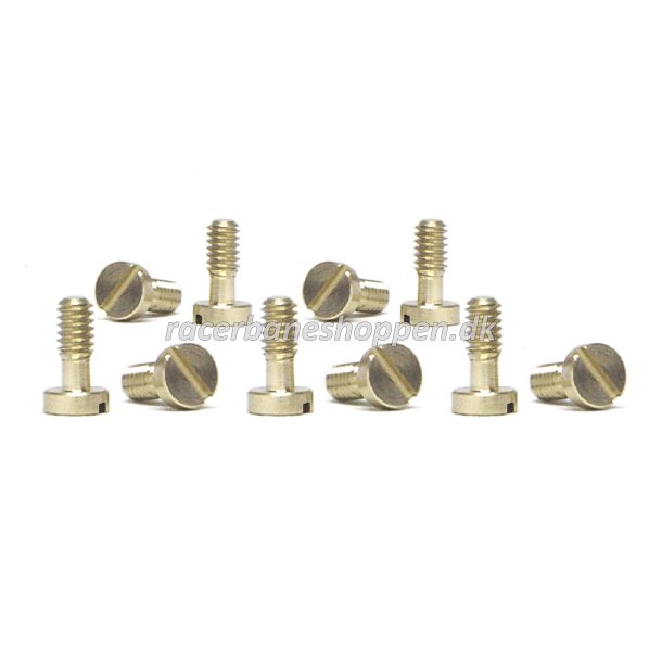 Metric screws M2.2x5.3mm, big head (10x)