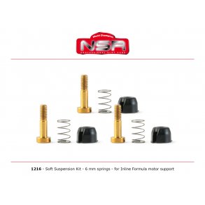SOFT SUSPENSION KIT FOR INLINE FORMULA NSR MOTOR SUPPORT